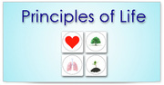Vital Life Foundation | Principles of Life