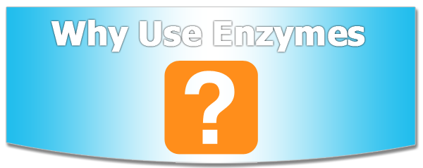 Why Use Enzymes